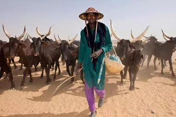 FULANI HERDSMEN-THEDISPATCHNG