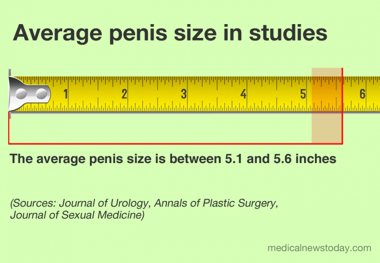 Penis Size Information 96