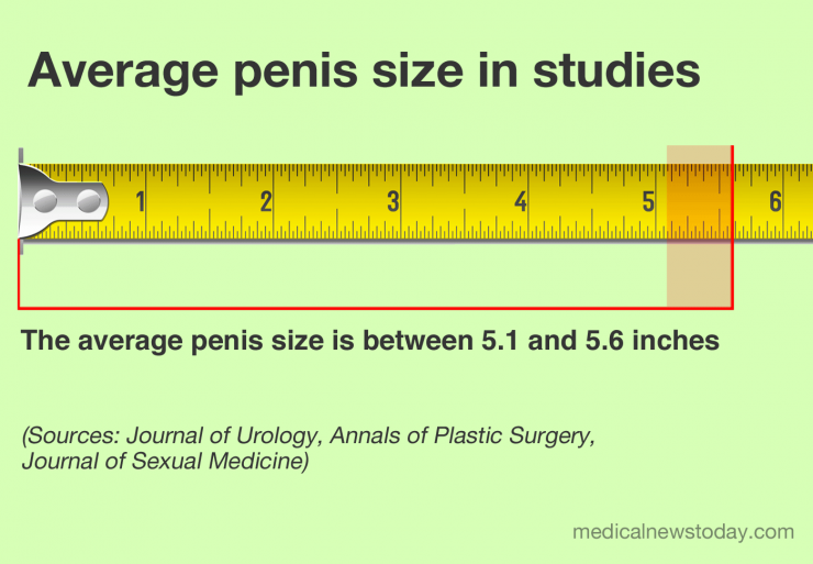 How Size Penis