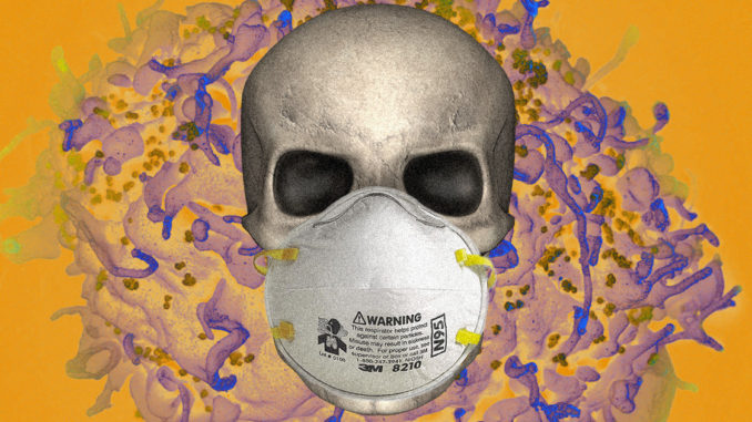 coronavirus-death-toll-graph2