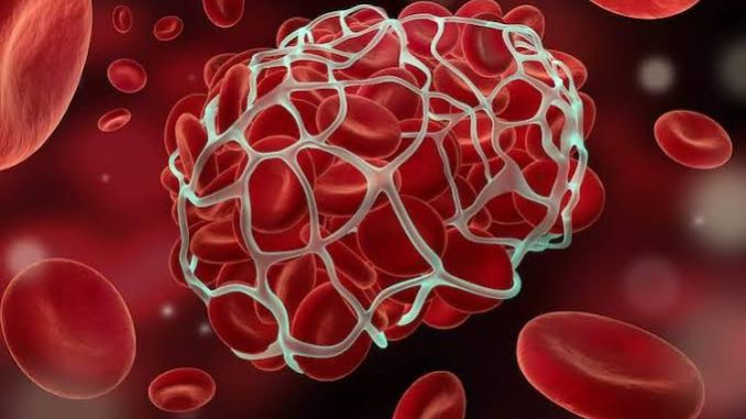 images (9) - 2021-04-17T093729.037